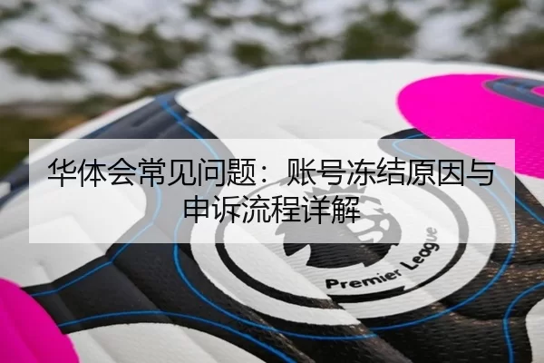 华体会常见问题：账号冻结原因与申诉流程详解