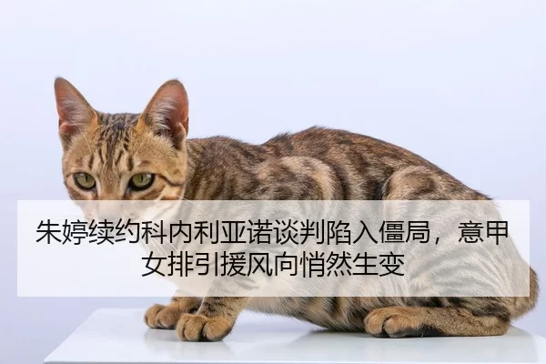 zhu-ting-xu-yue-ke-nei-li-ya-nuo-tan-pan-xian-ru-jiang-ju-yi-jia-nv-pai-yin-yuan-feng-xiang-qiao-ran-sheng-bian-2-974.jpg