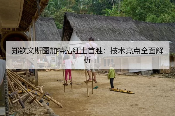 郑钦文斯图加特站红土首胜：技术亮点全面解析