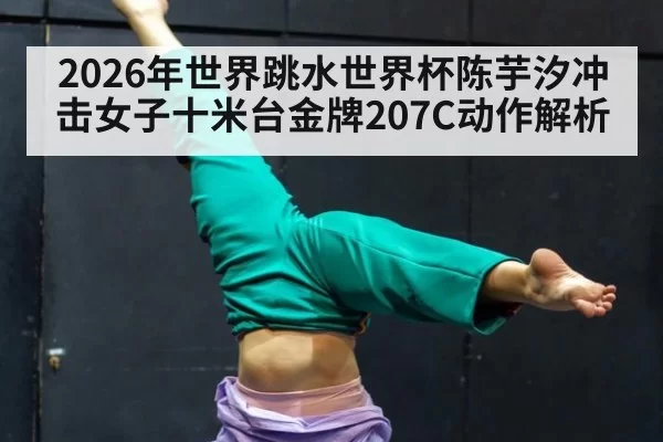 2026年世界跳水世界杯陈芋汐冲击女子十米台金牌207C动作解析